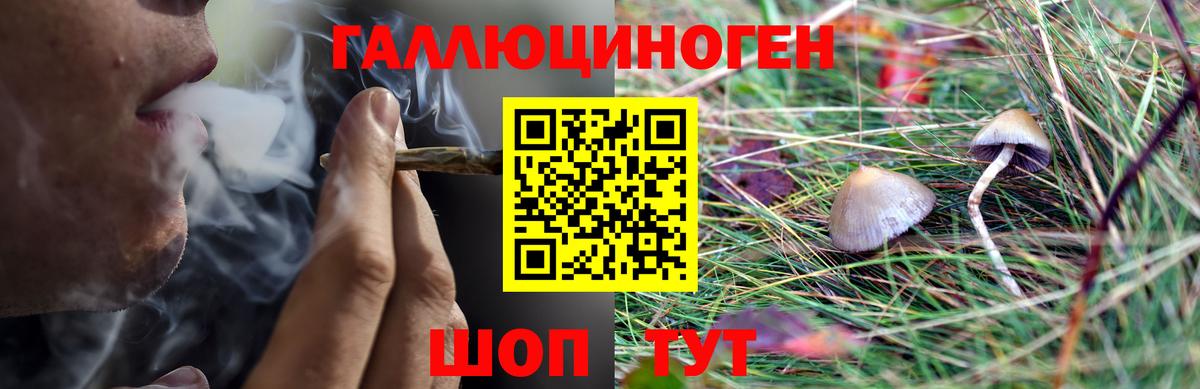 Псилоцибиновые грибы Magic Shrooms  Вход с VPN  Краснокаменск 